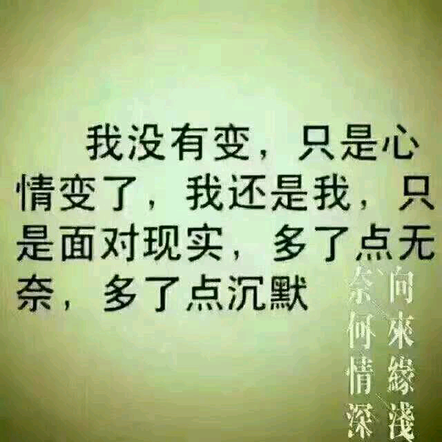 我曾用心爱着你谁是我的宝