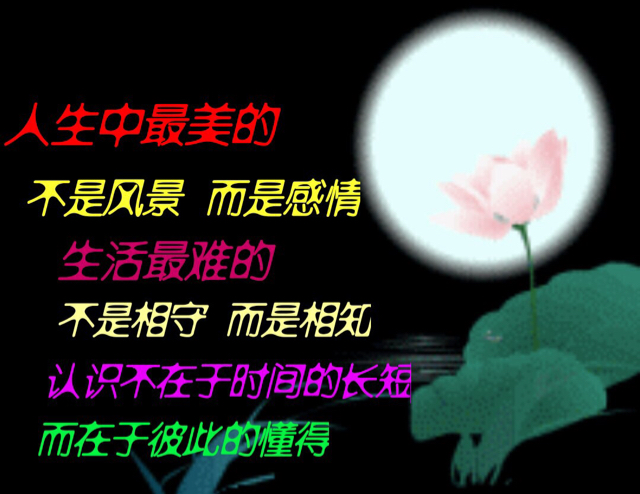 我的情深你若懂的简谱_我的情深你若懂配图(2)