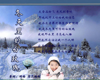 冬天的白玫瑰简谱_冬天里的白玫瑰简谱